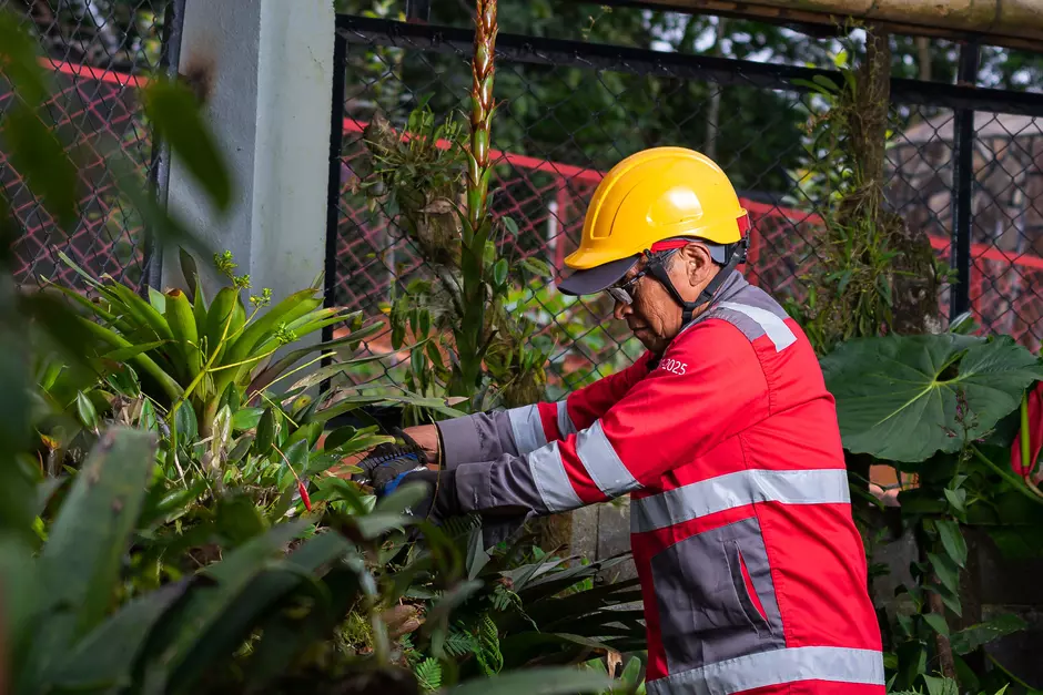 Mantenimiento de espacios urbanos