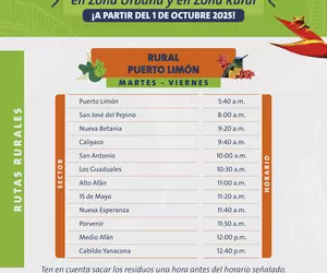 Recoleccion Putumayo